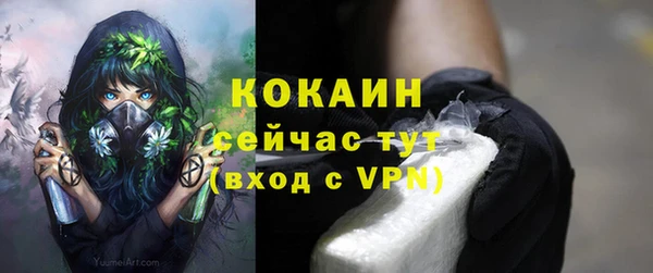 сатива Волосово