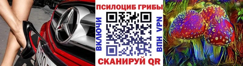 ОМГ ОМГ зеркало  Дмитров  Галлюциногенные грибы мицелий 