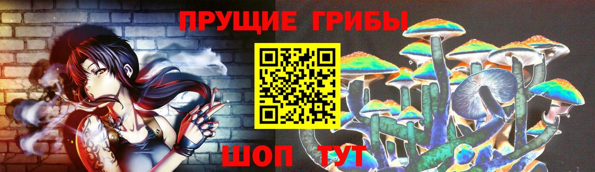 Псилоцибиновые грибы мицелий  Галлюциногенные грибы Psilocybe  Дмитров  Вход с VPN 