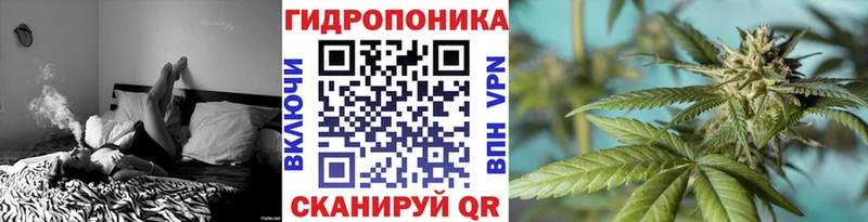 продажа наркотиков  Дмитров  Бошки Шишки White Widow 